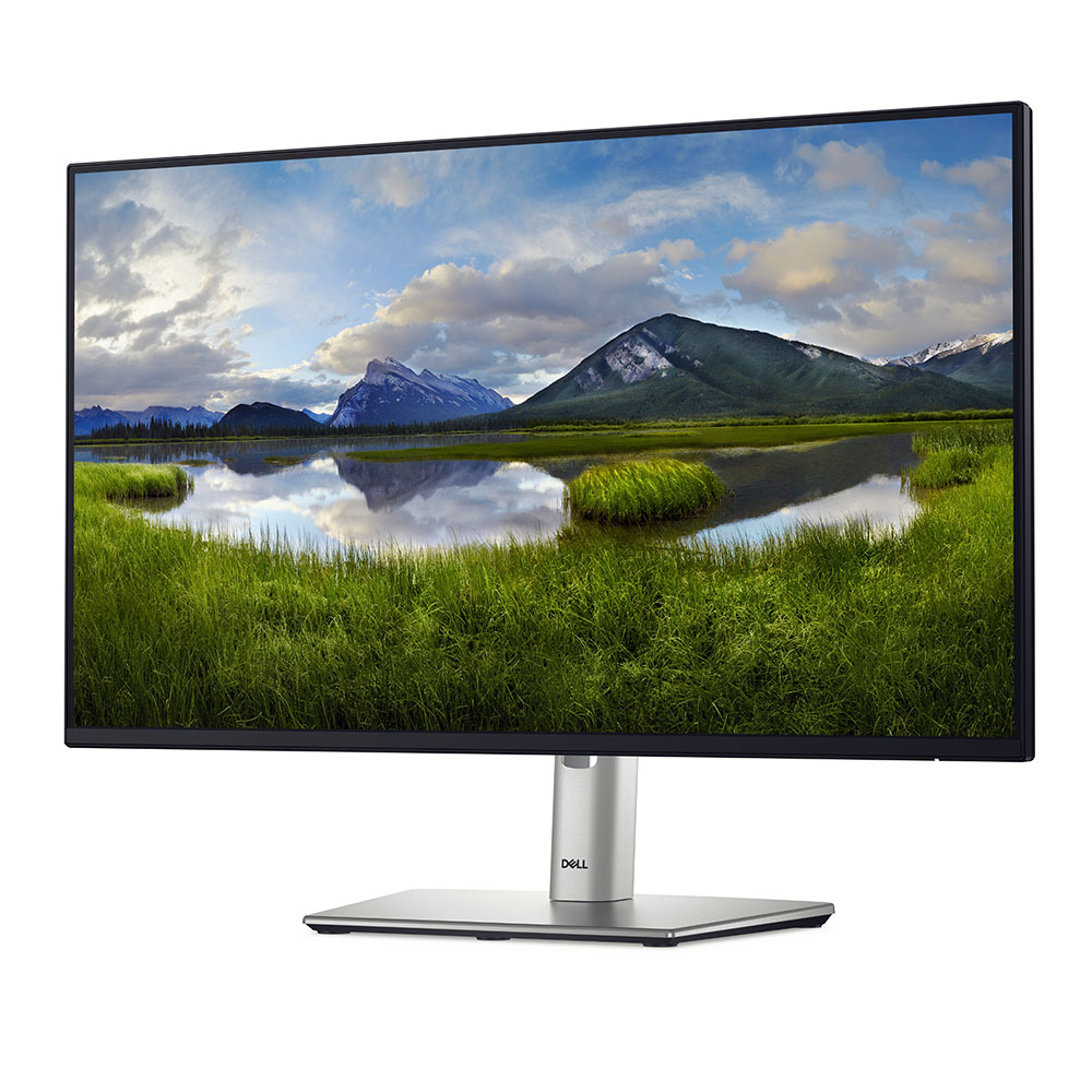 Monitor 24 Dell P2425h Vga + Hdmi + Dport