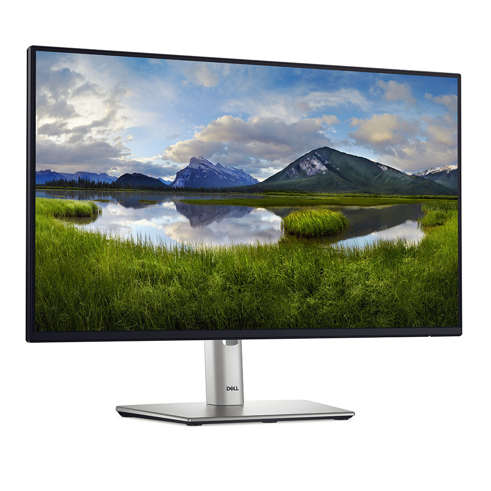 Monitor 24 Dell P2425h Vga + Hdmi + Dport