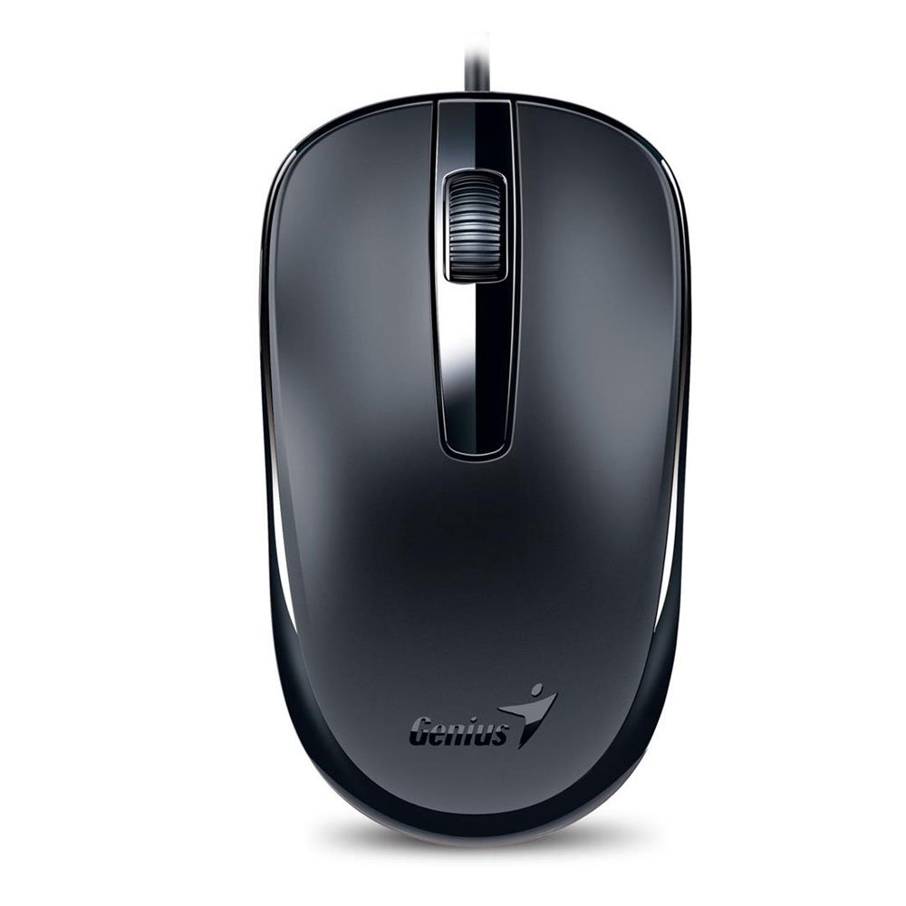 Mouse Genius Dx-120 Usb Black